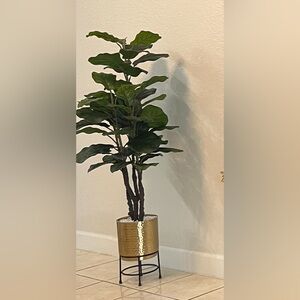 Modern Plant Vase